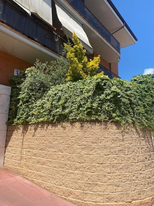 Apartamento Loft, Lloret De Mar Exterior photo